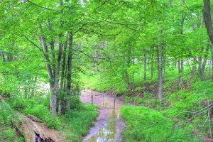 Creek